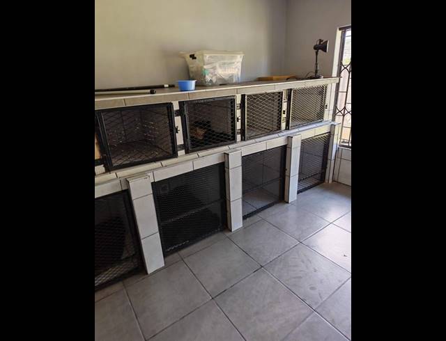 4 BEDROOM HOUSE FOR SALE IN EAST LYNNE